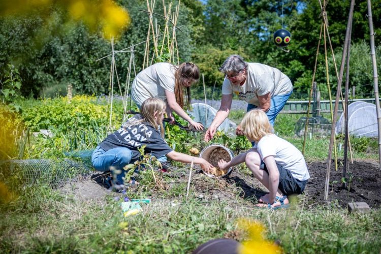 Paradijs vol kindertuinen