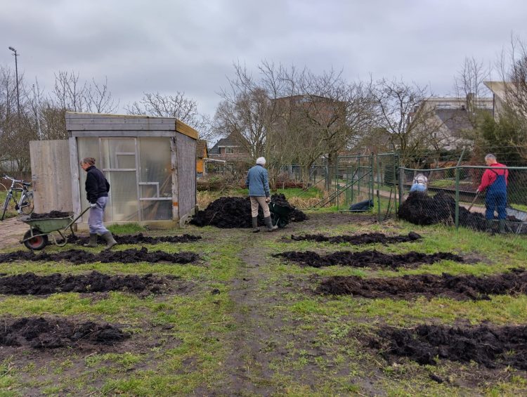 Mest van boer Duijndam op de  Goudsbloem 