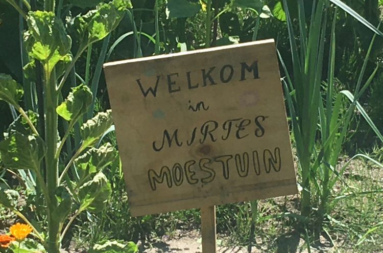 Familietuinieren op Kindertuin de Boterbloem