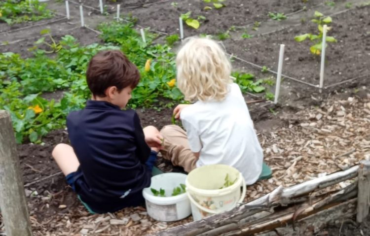 Familietuinieren op Kindertuin de Sleutelbloem