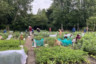 Kindertuin de Sleutelbloem
